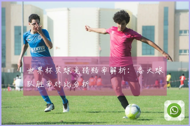 世界杯买球竞猜赔率解析：各大球队胜率对比分析