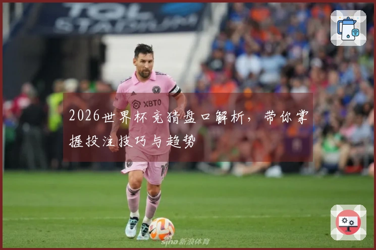2026世界杯竞猜盘口解析，带你掌握投注技巧与趋势
