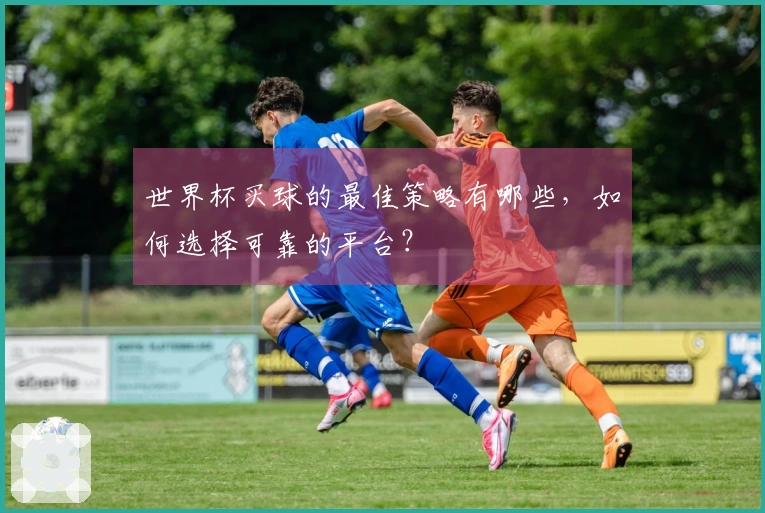 世界杯买球的最佳策略有哪些，如何选择可靠的平台？
