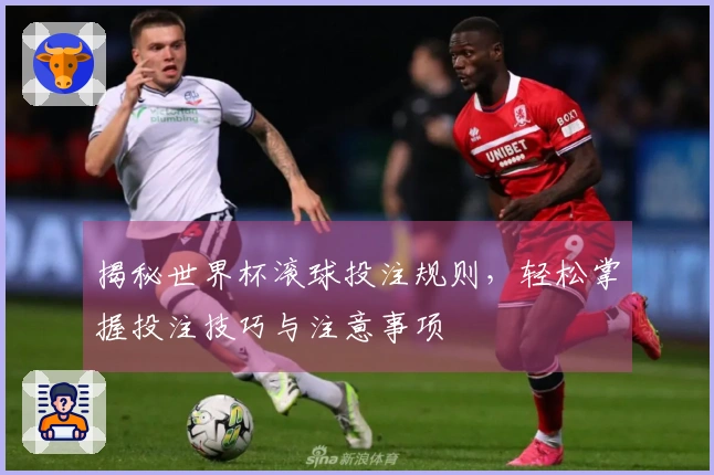 揭秘世界杯滚球投注规则，轻松掌握投注技巧与注意事项