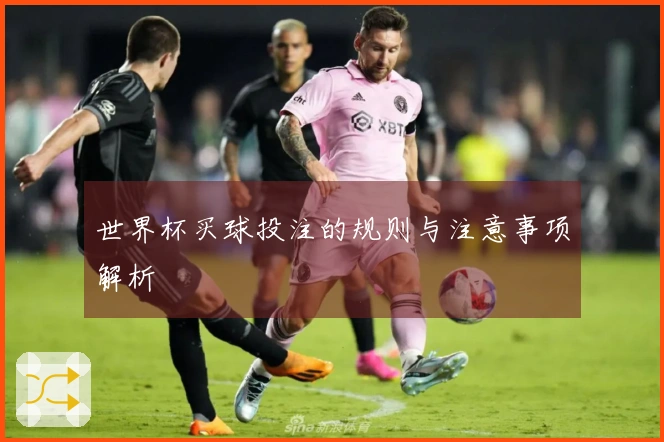 世界杯买球投注的规则与注意事项解析