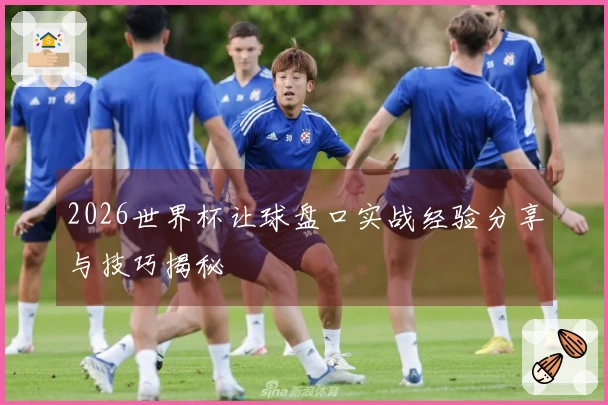 2026世界杯让球盘口实战经验分享与技巧揭秘