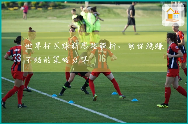 世界杯买球新思路解析，助你稳赚不赔的策略分享