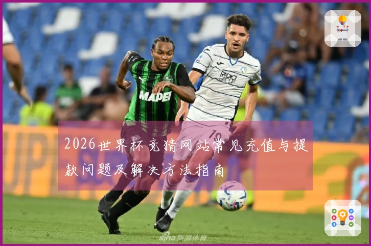 2026世界杯竞猜网站常见充值与提款问题及解决方法指南