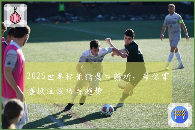 2026世界杯竞猜盘口解析，带你掌握投注技巧与趋势