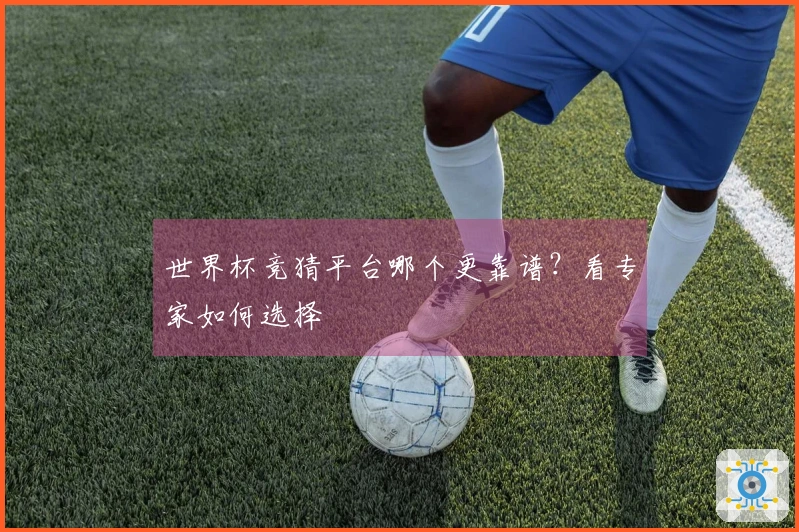 世界杯竞猜平台哪个更靠谱？看专家如何选择