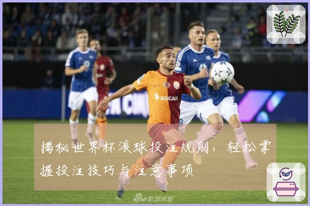 揭秘世界杯滚球投注规则，轻松掌握投注技巧与注意事项
