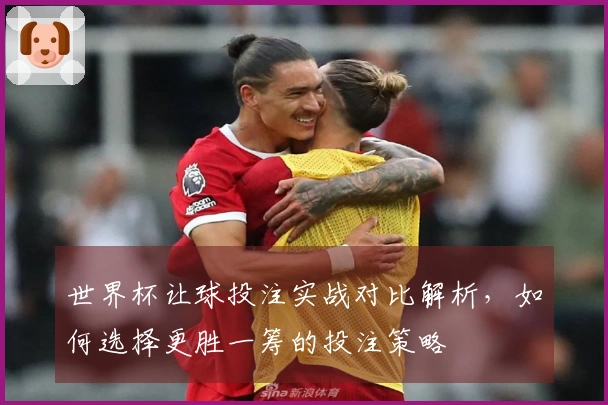 世界杯让球投注实战对比解析，如何选择更胜一筹的投注策略
