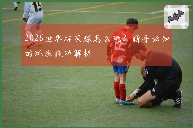 2026世界杯买球怎么玩？新手必知的玩法技巧解析