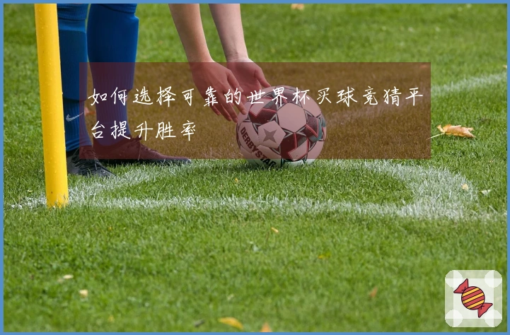 如何选择可靠的世界杯买球竞猜平台提升胜率