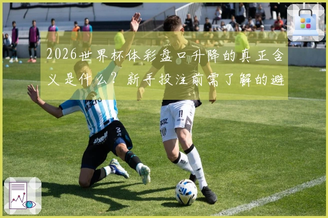2026世界杯体彩盘口升降的真正含义是什么？新手投注前需了解的避坑建议