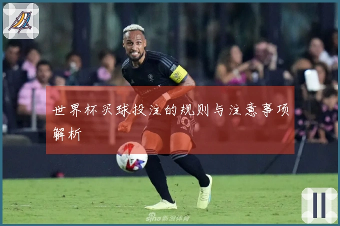 世界杯买球投注的规则与注意事项解析
