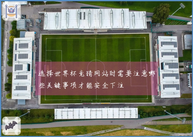 选择世界杯竞猜网站时需要注意哪些关键事项才能安全下注