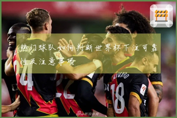 热门球队如何判断世界杯下注可靠性及注意事项