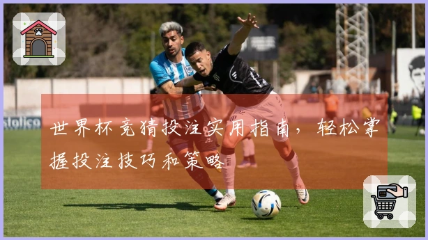 世界杯竞猜投注实用指南，轻松掌握投注技巧和策略