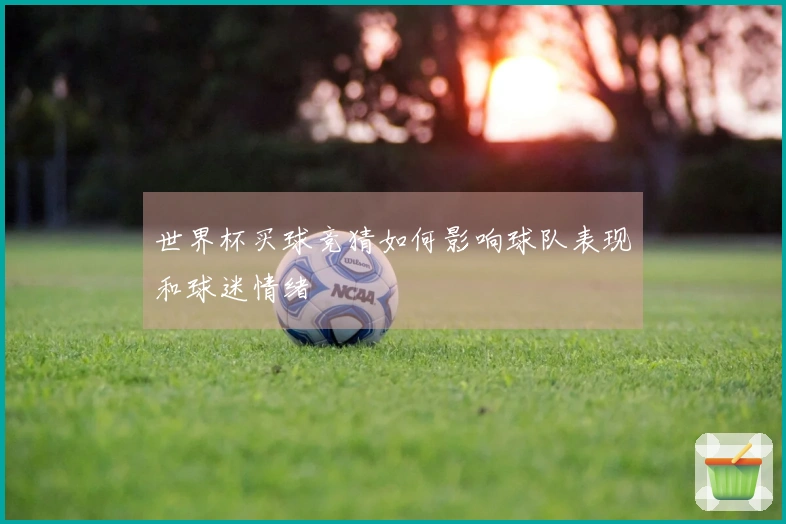 世界杯买球竞猜如何影响球队表现和球迷情绪