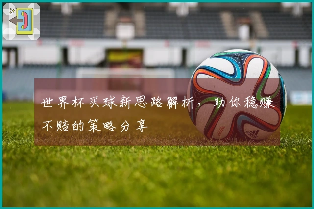 世界杯买球新思路解析，助你稳赚不赔的策略分享